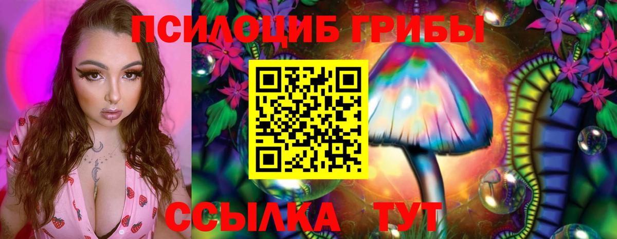 Петропавловск-Камчатский  Псилоцибиновые грибы Cubensis  Вход с VPN 
